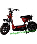 Hình ảnh: Xe đạp điện khuyến mãi cực khủng