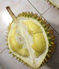 Hình ảnh: Chuyên đổ buôn sầu riêng ri6, bơ sáp daklak, chanh leo bao ăn từng quả với giá tốt nhất