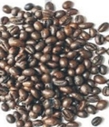 Hình ảnh: Cung cấp cà phê nguyên chất giá sỉ 75k/kg