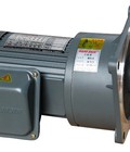Hình ảnh: Motor Giảm Tốc