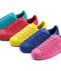 Hình ảnh: Adidas Supercolor .Superstar.Y3.Yeezy hàng SF cao cấp