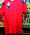 Hình ảnh: Áo thể thao nam tennis,mẫu mới,bán buôn và thanh lý lô phông cotton 75k