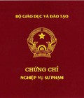 Hình ảnh: Bồi dưỡng, cấp chứng chỉ nghiệp vụ sư phạm dành cho giảng viên cao đẳng đại học nhanh nhất tại Hà Nội, TP HCM