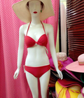 Hình ảnh: Bikini hàng THÁI 2015