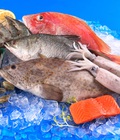 Hình ảnh: Chuyên cung cấp hải sản tươi sống