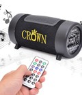 Hình ảnh: Loa mini Crown D4X cao cấp