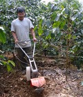 Hình ảnh: Nông dân làm giàu với máy xới đất tự chế.