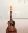 Hình ảnh: Ukulele Concert UC 2000