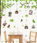 Hình ảnh: Cây photo treo ảnh gia đình 