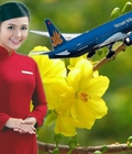 Hình ảnh: Vé máy bay Tết 2016