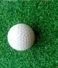 Hình ảnh: Cung cấp bóng sân tập golf