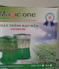 Hình ảnh: Máy trồng rau Magic MG-81