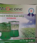 Hình ảnh: Máy trồng rau mầm Magic One