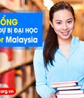 Hình ảnh: Học bổng tiếng anh và dự bị đại học tại TaylMalaysia 2015