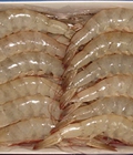 Hình ảnh: Tôm thẻ tươi sống chất lượng cao