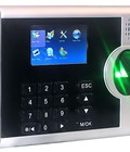 Hình ảnh: Máy chấm công vân tay nào được sử dụng nhiều nhất