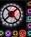 Hình ảnh: Led dán 5050 cuộn 5m