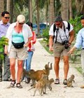 Hình ảnh: Tour Suối Hoa Lan Đảo Khỉ Nha Trang Hằng Ngày
