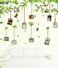 Hình ảnh: decal dán tường cây khung ảnh kỉ niệm