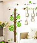 Hình ảnh: Decal dán tường cây khung ảnh the sing