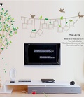 Hình ảnh: Decal dán tường cây tán tròn dây ảnh