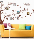 Hình ảnh: Decal dán tường cây khung ảnh family nhỏ