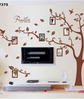 Hình ảnh: Decal dán tường cây khung ảnh family to