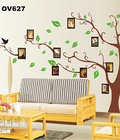 Hình ảnh: Sticker trang trí phòng khách cây khung ảnh nhỏ 2