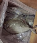 Hình ảnh: Hải sản Cửa Hội: Cá thu nướng, cá chim, mực 1 nắng, mực trứng... chất lượng tuyệt vời luôn ạ