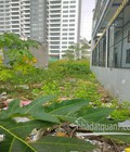 Hình ảnh: Bán đất tiện xây phòng trọ hẽm trước nhà 4m đường Huỳnh Tấn Phát, Quận 7