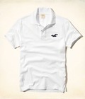 Hình ảnh: Áo polo Hollister nhập từ Mỹ nhiều màu