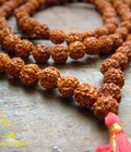 Hình ảnh: Chuỗi hạt Rudraksha Mala nhập từ Ấn Độ Phụ kiện cho người tập Yoga