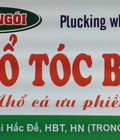 Hình ảnh: Nhổ Tóc Bạc Hà Nội