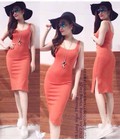 Hình ảnh: Đầm Ôm body