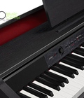 Hình ảnh: Đàn piano điện Casio AP 460BK/BN