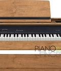 Hình ảnh: Đàn piano điện Casio PX A800BN