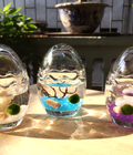 Hình ảnh: Set Marimo trong lọ trứng