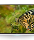 Hình ảnh: 65X8500C, 55X8500C Giảm giá sốc với Tivi Sony 4K, Led 3D, Full HD 55X8500C 55 inch , 65X8500C 65 inch
