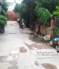 Hình ảnh: Bán nhà cấp 4 cũ hẽm 4m đường Nguyễn Văn Quỳ, F. TTĐ, Q7 chia đc 2 lô