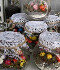 Hình ảnh: Lọ thủy tính tiểu cảnh handmade HM08