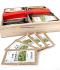 Hình ảnh: Đông trùng hạ thảo gói : Tăng cường hệ miễn dịch giúp cơ thể khỏe mạnh