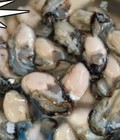 Hình ảnh: Hàu sữa tươi ngon