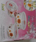 Hình ảnh: Bộ bát sứ chân không 