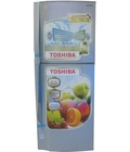 Hình ảnh: Xả kho Tủ lạnh Toshiba gr s19vpp s 171l, gr s19vpp ds 171l, gr s21vpb s 186l, gr s21vpb ds 186l, gr s25vpb s