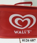 Hình ảnh: Chuyên may túi giữ nhiệt có in logo quảng cáo, túi giữ nhiệt quà tặng cho khách hàng, túi kem wall, túi giữ lạnh