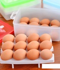 Hình ảnh: Hộp đựng 24 quả trứng