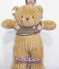 Hình ảnh: Gấu bông ngoại teddy cực đẹp mịn an toàn giá shock cho sinh viên