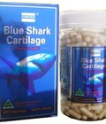 Hình ảnh: Sụn vi cá mập xanh Costar của Úc hộp 365 viên