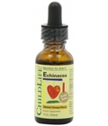 Hình ảnh: ChildLife Essentials Echinacea bí quyết chăm con khỏe mạnh từ Mỹ