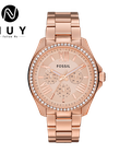Hình ảnh: Đồng hồ fossil nữ cao cấp giá tốt tại Hà Nội